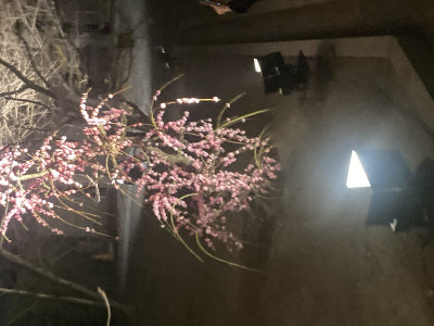 みほの写メ